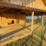 Holiday home In